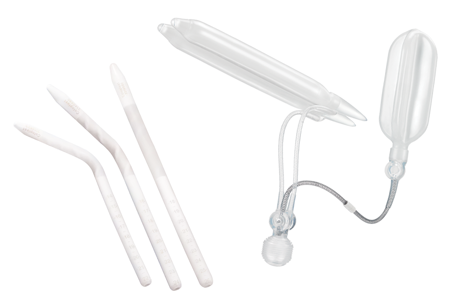 intro-section-produtos-destaques1